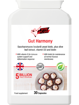 Gut Harmony